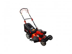 Газонокосилка бензиновая Brait BR3251SM - фото 1